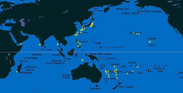 등점은눈돔(Silver eye) Polymixia japonica