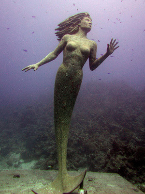 DocJelly_Grand_Cayman_crop300.jpg