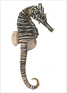 해마도감 Seahorse(Hippocampus) illustratration of Project Seahorse