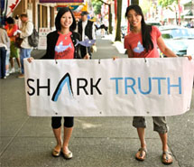 Shark_fin_campain3_h185.jpg