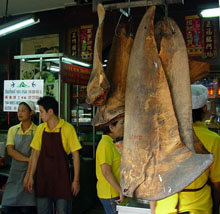 shark_fin_Bangkok_crop220.jpg