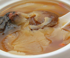 Shark_fin_soup_crop_h200.jpg