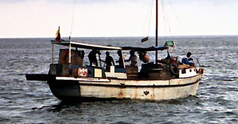 Shark_finning_boat_crop343.jpg
