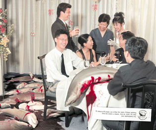 Shark_finning_mariage2_crop_h263.jpg