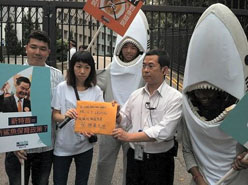 Shark_fin_campain2_h185.jpg