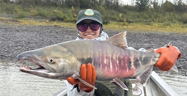 연어과 Family Salmonidae(Salmonids)