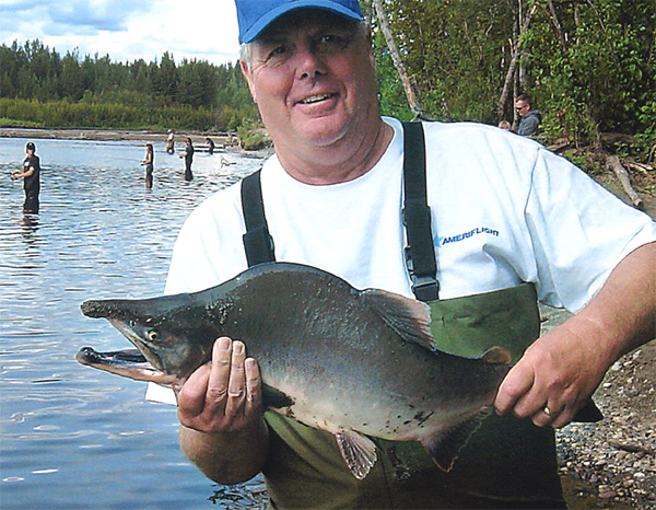 연어과 Family Salmonidae(Salmonids)